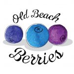 Old Beach Berries