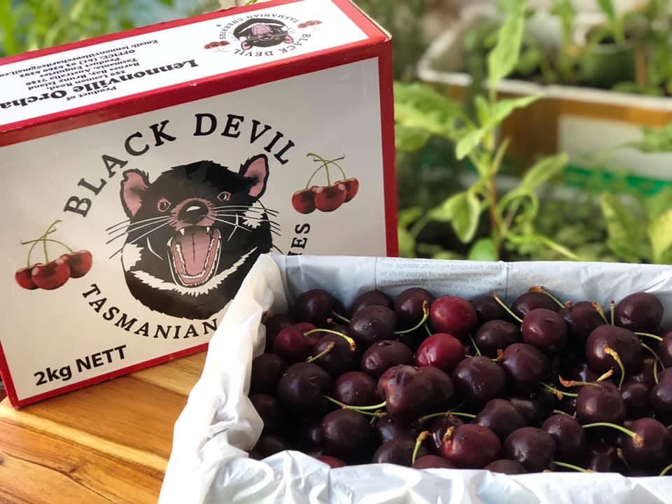 Black Devil Tasmanian Cherries