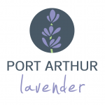 Port Arthur Lavender