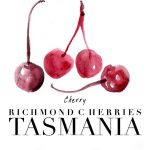 Richmond Cherries