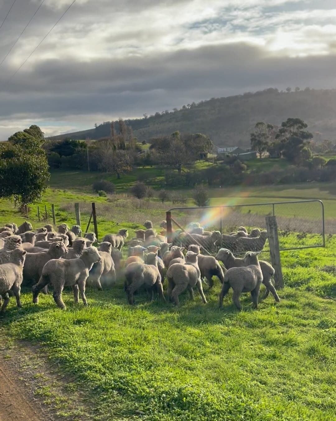 Horsecroft Produce